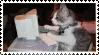 cat on a computer stamp